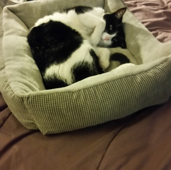 Meet the Posher - Picture 2 of 4